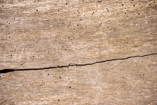 Rustic old brown wood texture with copy space