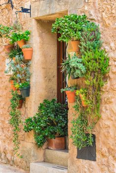 Plant decoration in the old village of Valldemossa on Mallorca, Spain Balearic islands