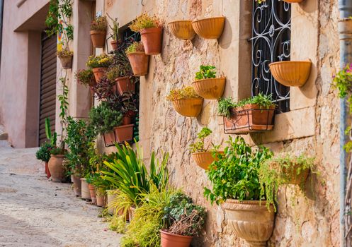 Street with typical potted plants in Valldemossa, Spain Balearic islands