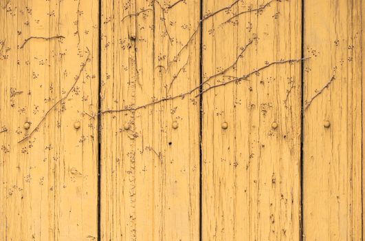 Rustic old brown wood background texture with copy space