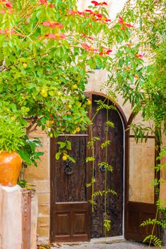 Romantic mediterranean house entrance door with beautiful plants