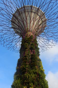 MARINA BAY, SG - DEC. 16: Gardens by the Bay super tree grove on December 16, 2016 in Marina Bay, Singapore. Gardens by the Bay is a nature park spanning 101 hectares in central Singapore.