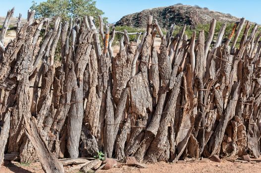 A traditional fence at the Damara Living Museum in Damaraland, Namibia