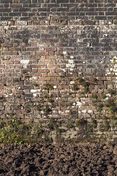 Old large weathered distressed red brick wall texture background