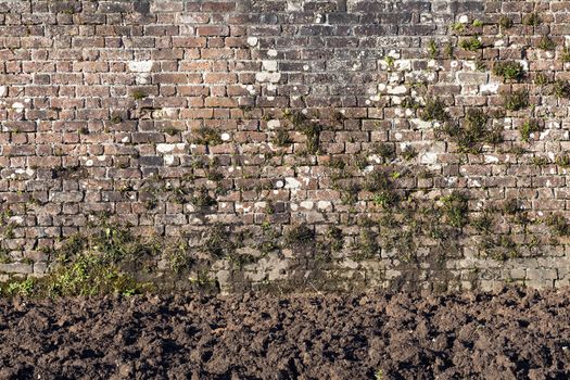 Old large weathered distressed red brick wall texture background