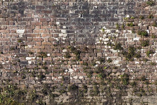 Old large weathered distressed red brick wall texture background