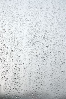 Drops of rain on the window (glass). Shallow DOF.