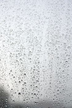 Drops of rain on the window (glass). Shallow DOF.