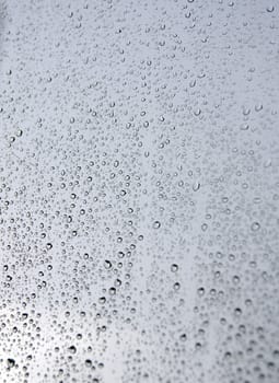 Drops of rain on the window (glass). Shallow DOF.