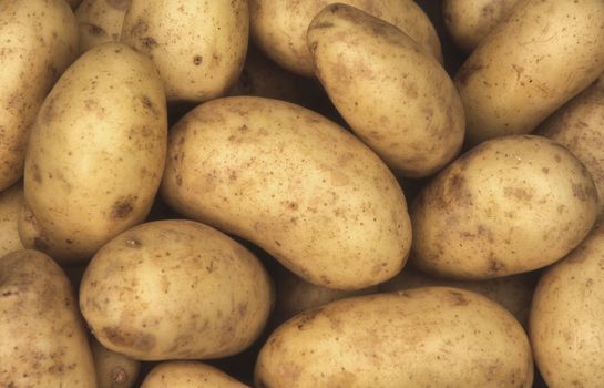 Charlotte potatoes background which are a popular early variety potato