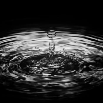 Water drop ripple splash droplet monochrome black and white image