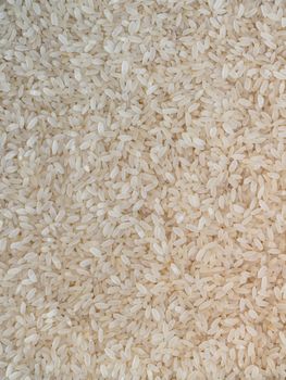 White long rice background, uncooked raw cereals, macro closeup.