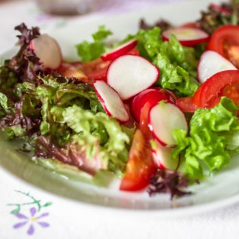 Close up of a salad with lettuce and fresh vegetable