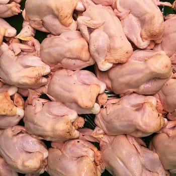 Dead chicken in Market