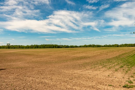 Farm land, Ontario, Canada. View of freshly planted fields