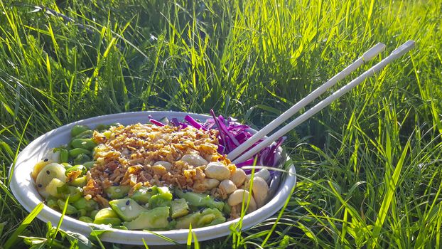 Vegan poke bowl, Hawaiian dish, with chopsticks in the grass. Cashew nuts, avocado, Red cabbage, Onion and Edamame