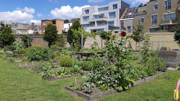 Antwerp, Belgium, July 2020: city garden or allotment community garden in the Groen Kwartier district in Antwerp, Belgium