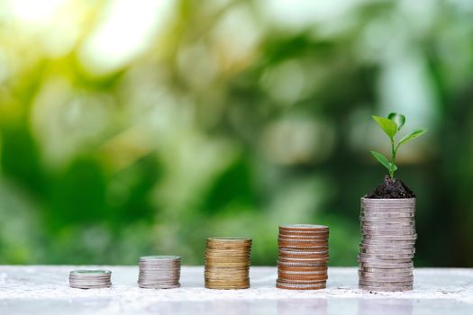 The growth of plants on the pile of coins, increased investment, saving ideas and investing in business