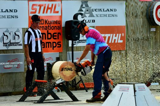 International Timber Sports (the world Champion Axemen); agricultural show