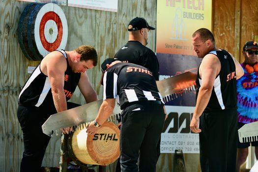 International Timber Sports (the world Champion Axemen); agricultural show
