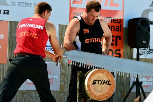 International Timber Sports (the world Champion Axemen); agricultural show