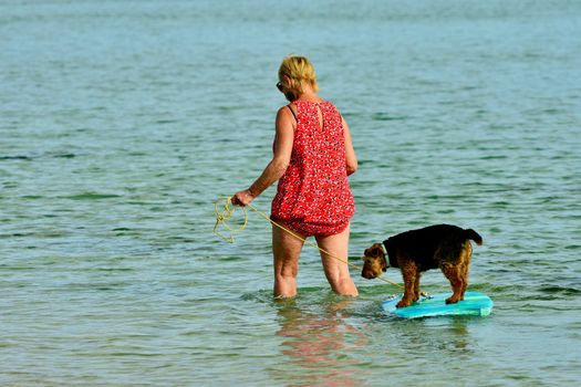 a woman giving her pet dog a ride on a surf board, at a sea beach