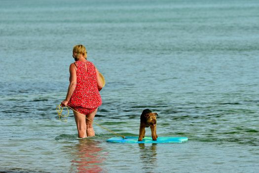 a woman giving her pet dog a ride on a surf board, at a sea beach