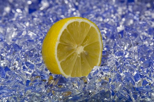 fresh citron on cold ice
