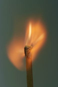 close-up of a burning match
