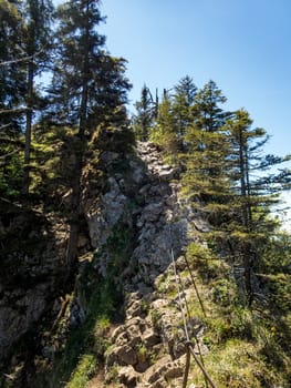 The Grunten Guardian of the Allgau Alpsee