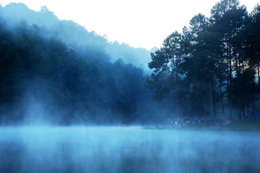 Mist in the morning with the beauty of nature.