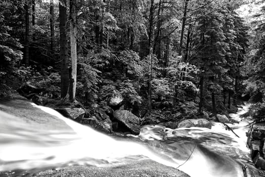 Rocks and boulders in the mountain stream in the forest in the Giant Mountains in Poland, black and white