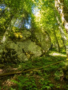 The Starzlachklamm between Burgberg and Sonthofen near the Grunten in Allgau