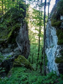 The Starzlachklamm between Burgberg and Sonthofen near the Grunten in Allgau