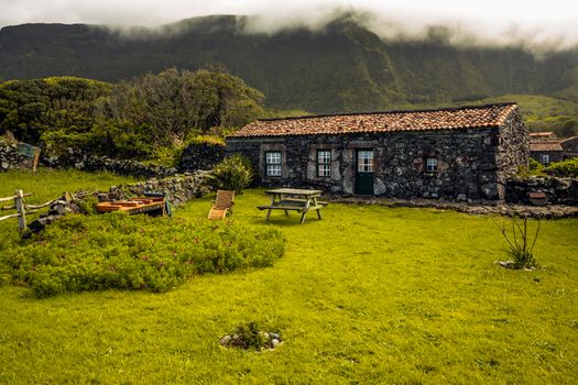 Typical rural house of Azores - Portugal with cows on the background