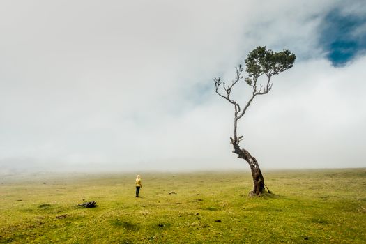 Traveller woman feeling the power of the nature at an ancient forest