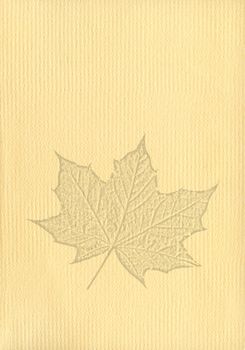 Notepaper document texture background with a cut out isolated maple leaf watermark