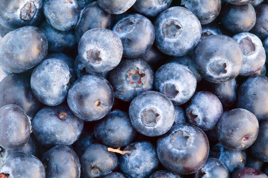 Fresh ripe blueberries fruit in apile to make a blueberry background