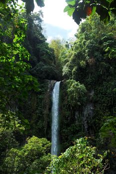 Katibawasan water falls and green leaves in Camiguin, Philippines