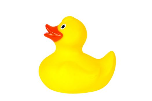 Yellow plastic rubber duck cut out and isolated on a white background