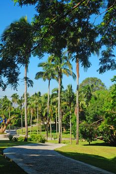 BATANGAS, PH - JULY 30: Pathway at CCF Mount Makiling Recreation Center on July 30, 2019 in Santo Tomas, Batangas, Philippines.