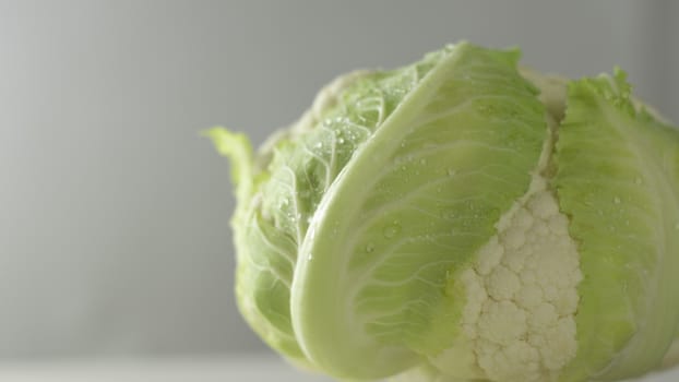 Close-up studio shot of a freshly harvested cauliflower cabbage with green leaves that surround it with hoarfrost water droplets