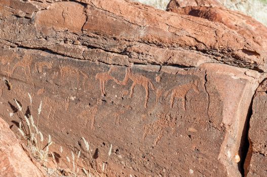 Rock engravings at Twyfelfontein in Damaraland, Namibia