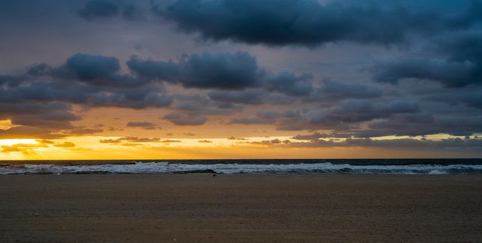 Early morning light at Branch Beach, on Long Beacg Island.