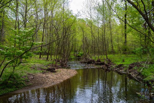 A wide angle photo of Snakeden Stream near the Walker Nature Center in Reston Virginia, Fairfax County.