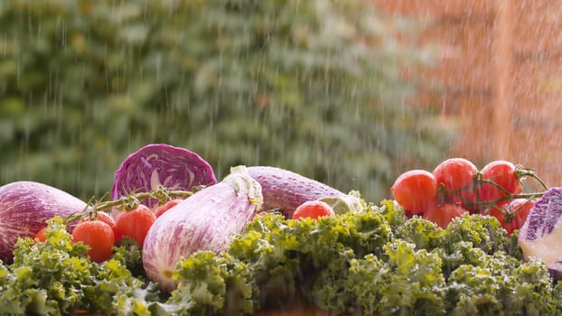 Close up fresh vegetables on the table under the rain. Harvesting in a country farm. Healthy fresh food concept