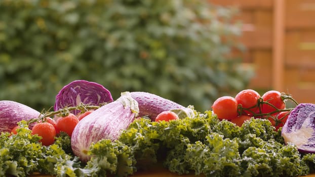 Close up fresh vegetables on the table in drops of water. Harvesting in a country farm. Healthy fresh food concept