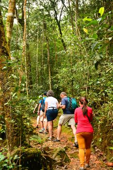 SABAH, MY - JUNE 18: Mount Kinabalu Botanical Garden trail on June 18, 2016 in Sabah, Malaysia. 