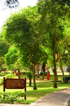 SABAH, MY - JUNE 20: Manukan Island catwalk and trees on June 20, 2016 in Malaysia. The Manukan Island Resort is a hideaway that is one of the five tropical islands that comprise the Tunku Abdul Rahman Park.