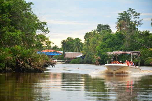 SABAH, MY - JUNE 20: Klias River and boat on June 20, 2016 in Sabah, Malaysia. Klias river is a Mangrove Forest Reserve and a ecotourism destination wherein you can see proboscis monkey in the trees.